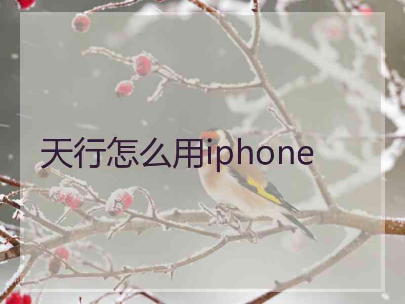 天行怎么用iphone