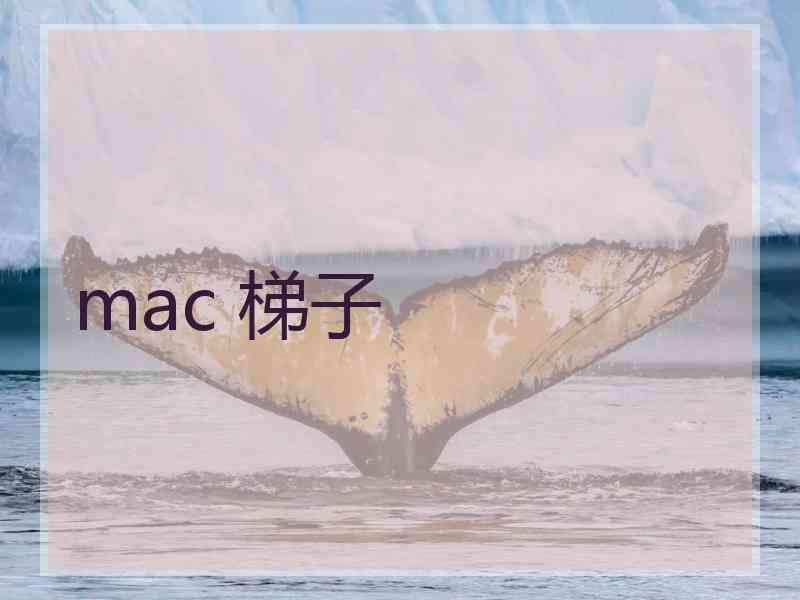 mac 梯子