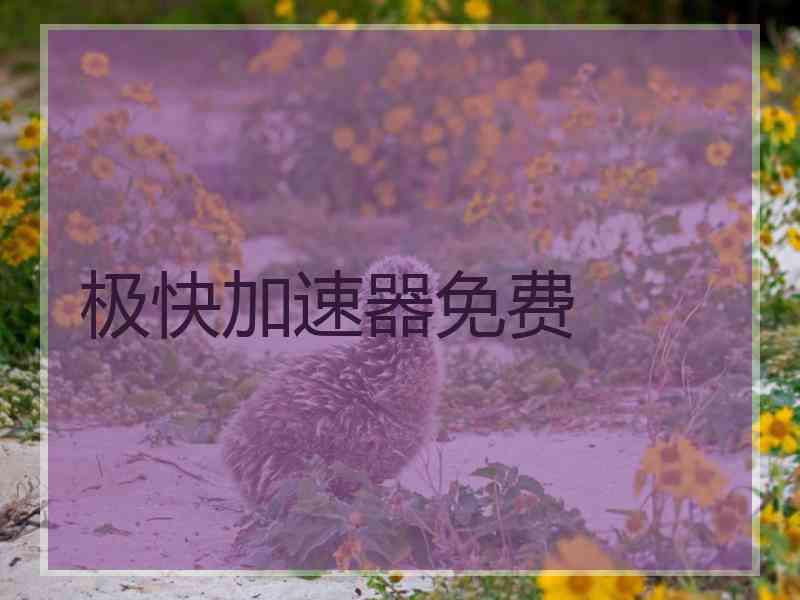极快加速器免费