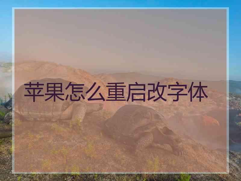 苹果怎么重启改字体