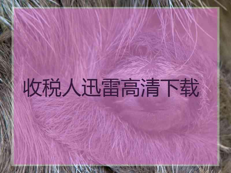 收税人迅雷高清下载
