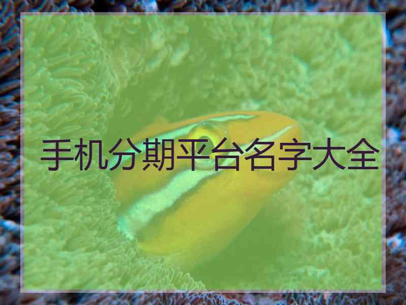手机分期平台名字大全