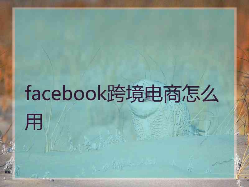 facebook跨境电商怎么用