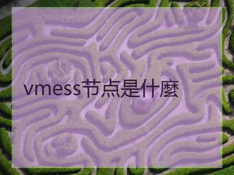 vmess节点是什麼