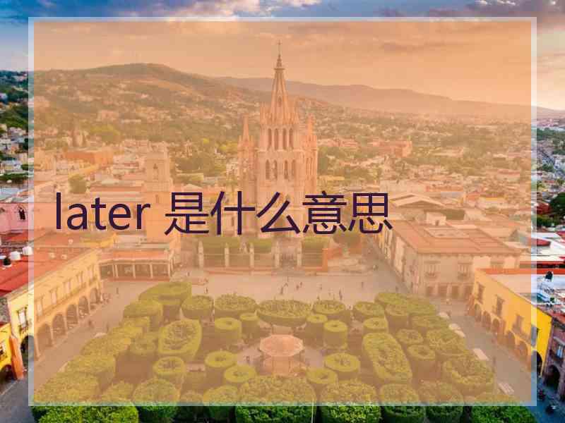 later 是什么意思