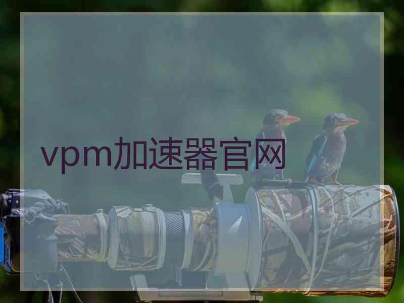 vpm加速器官网