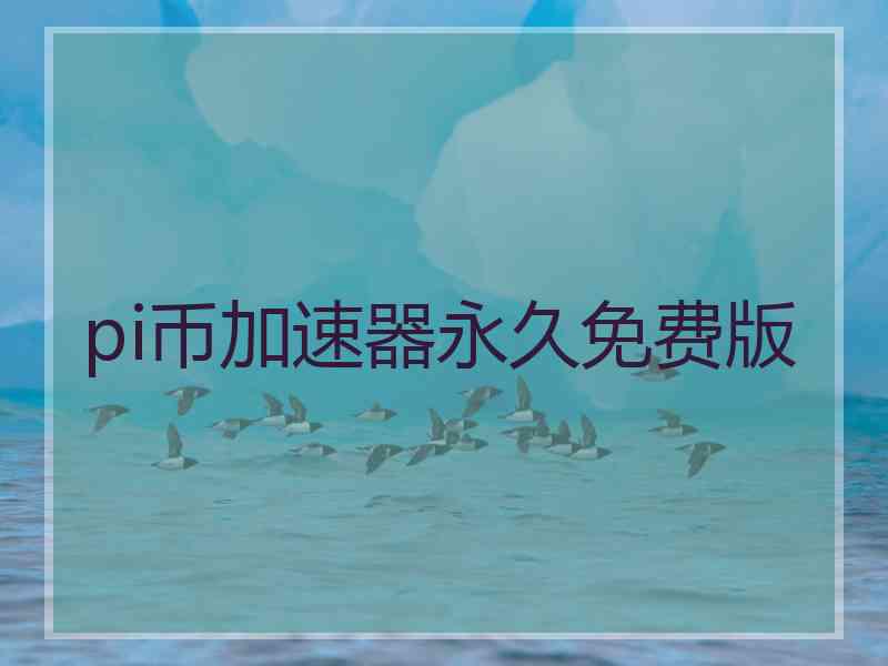 pi币加速器永久免费版