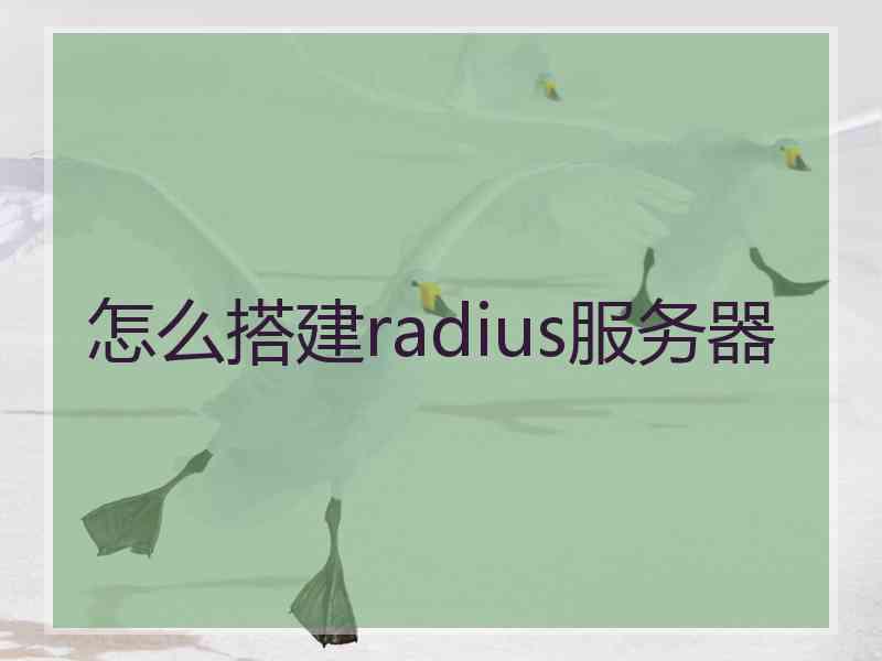 怎么搭建radius服务器