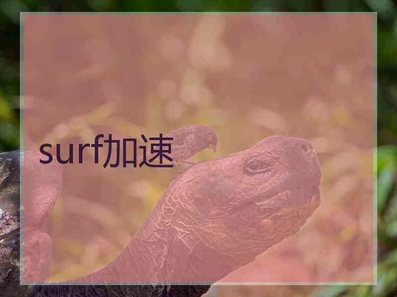surf加速