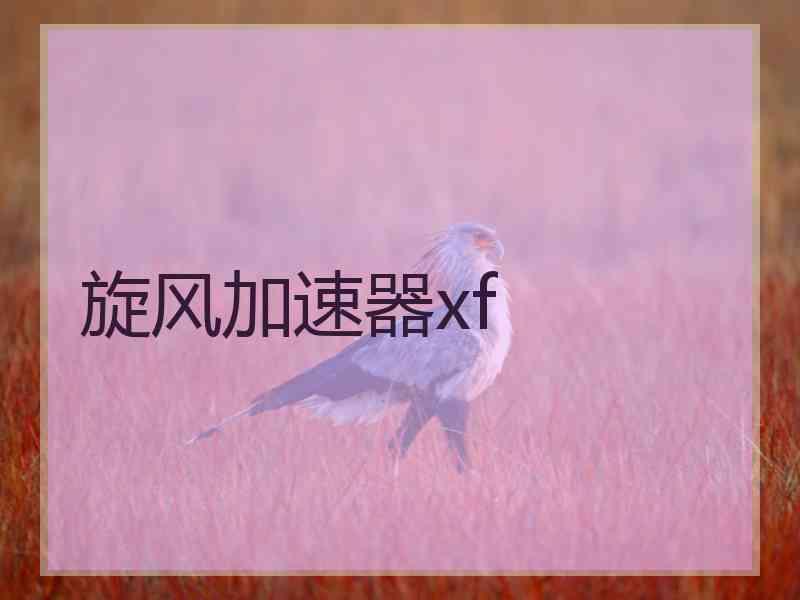 旋风加速器xf