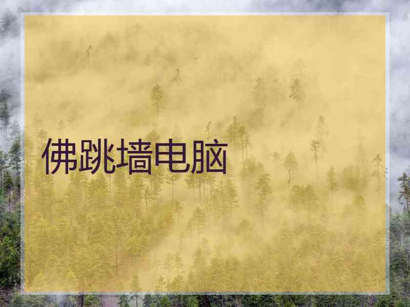 佛跳墙电脑