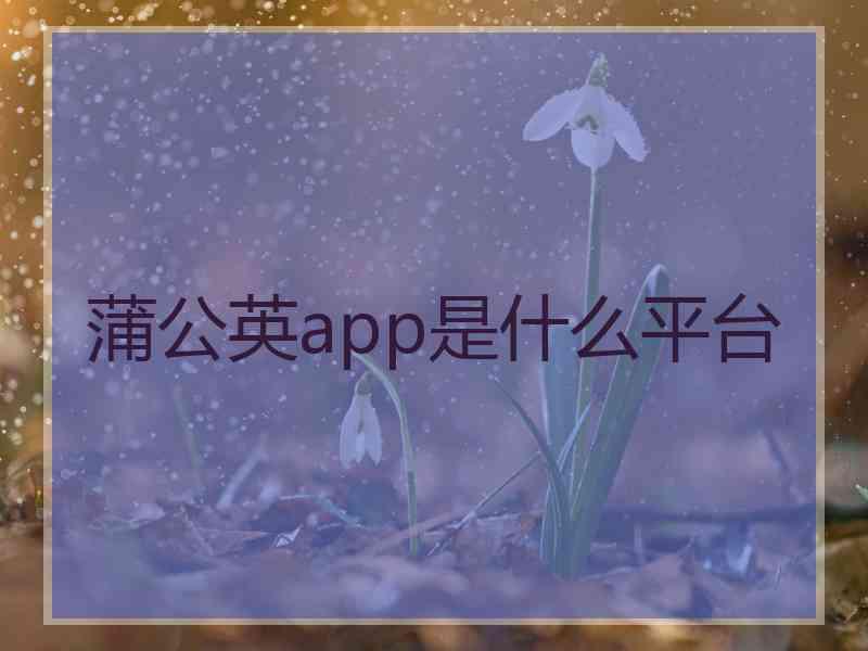 蒲公英app是什么平台