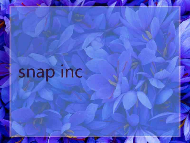 snap inc