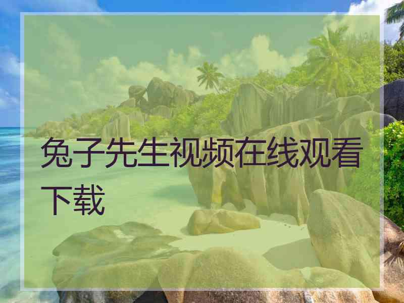 兔子先生视频在线观看下载