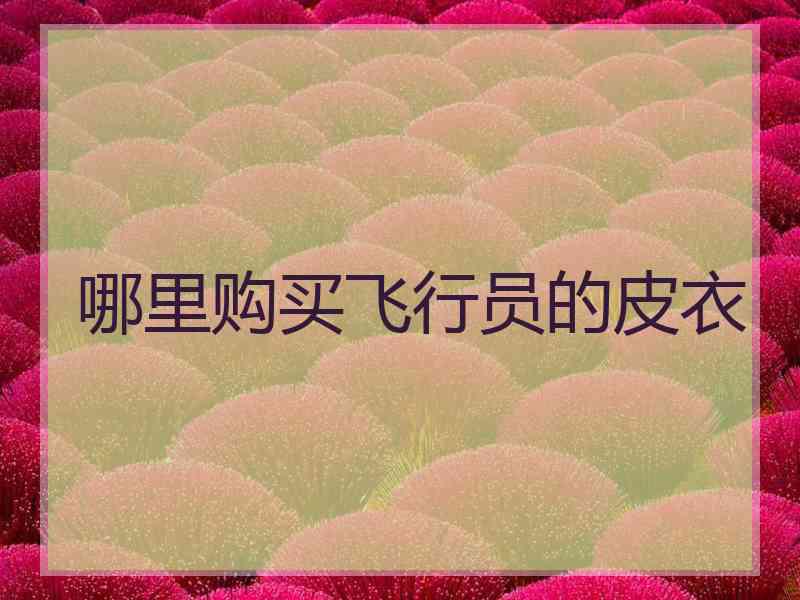 哪里购买飞行员的皮衣