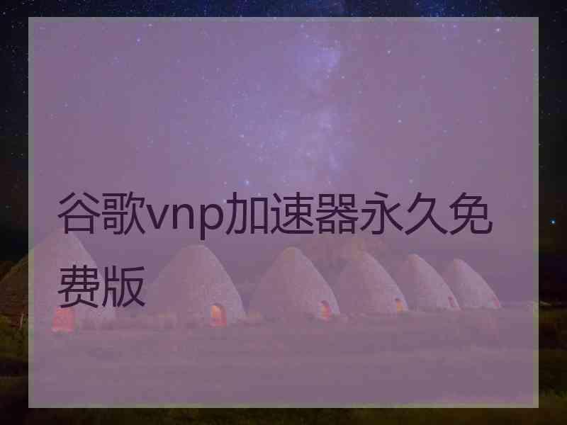 谷歌vnp加速器永久免费版