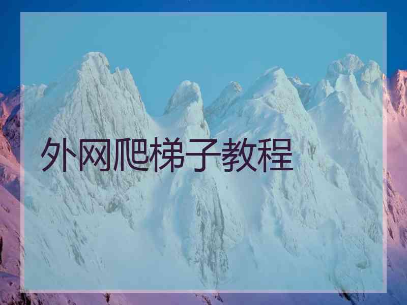 外网爬梯子教程