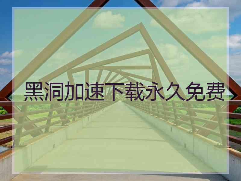 黑洞加速下载永久免费