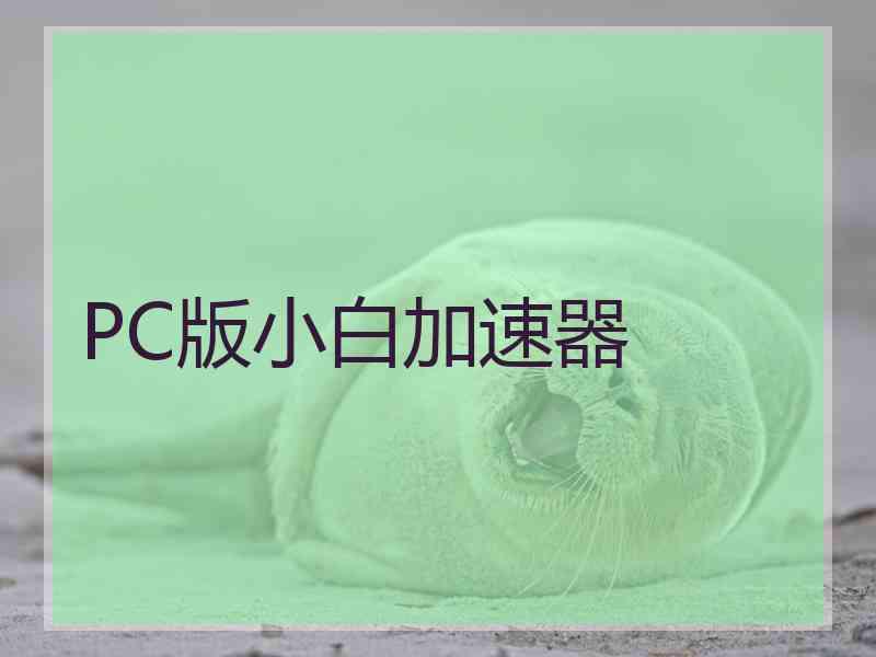 PC版小白加速器