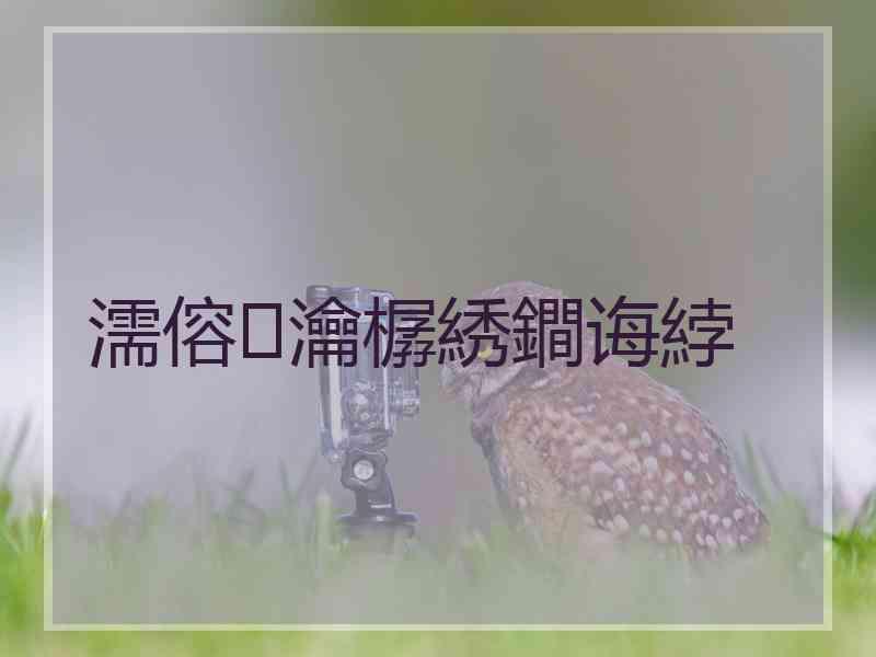 濡傛瀹樼綉鐧诲綍