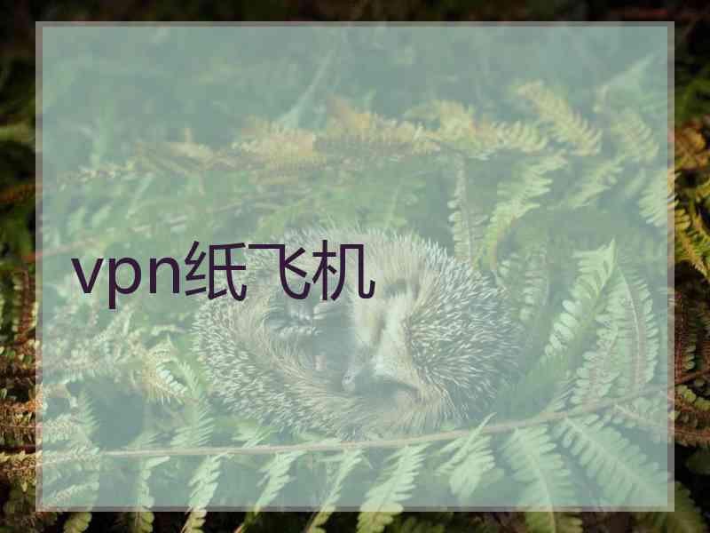 vpn纸飞机
