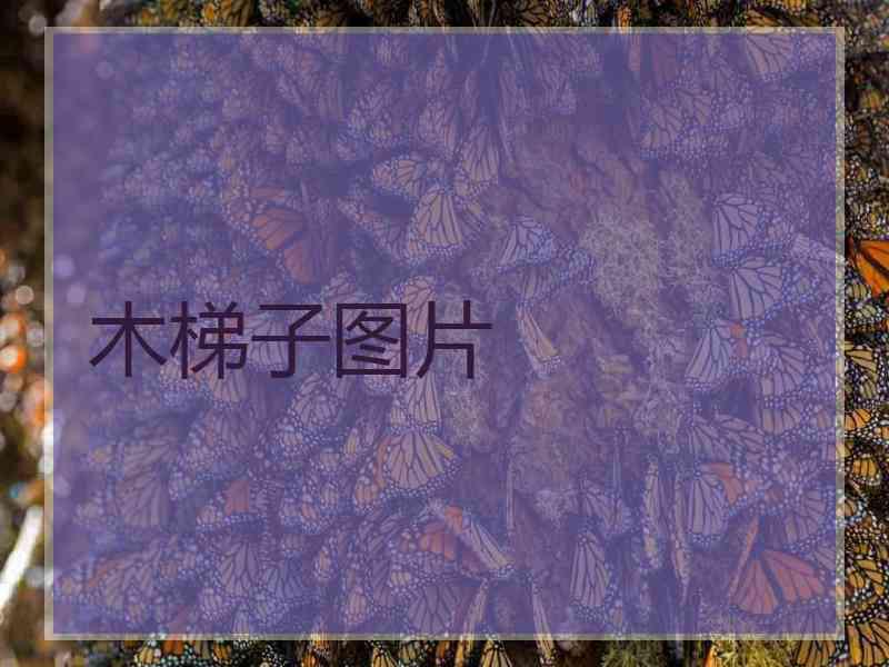 木梯子图片