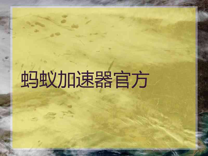 蚂蚁加速器官方