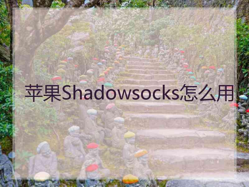 苹果Shadowsocks怎么用