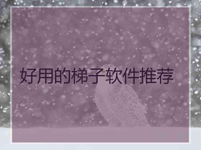 好用的梯子软件推荐