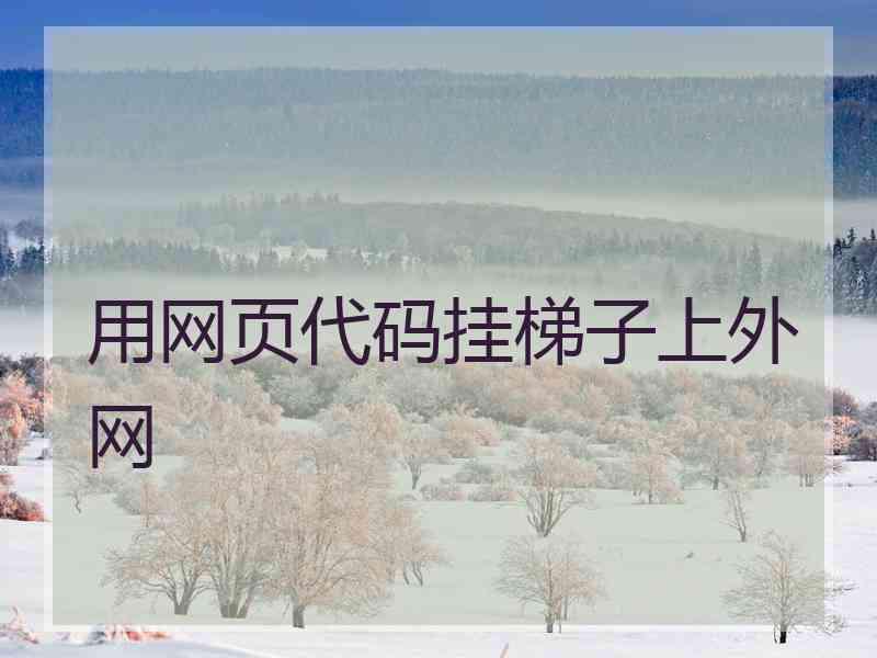 用网页代码挂梯子上外网