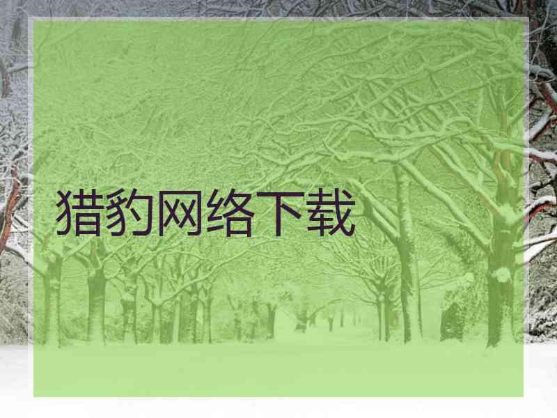 猎豹网络下载