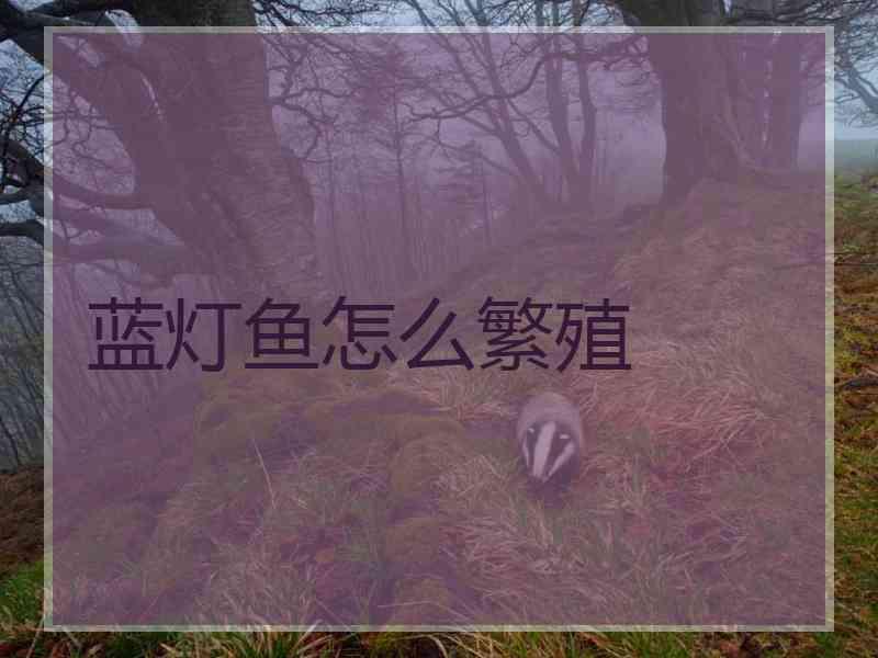 蓝灯鱼怎么繁殖