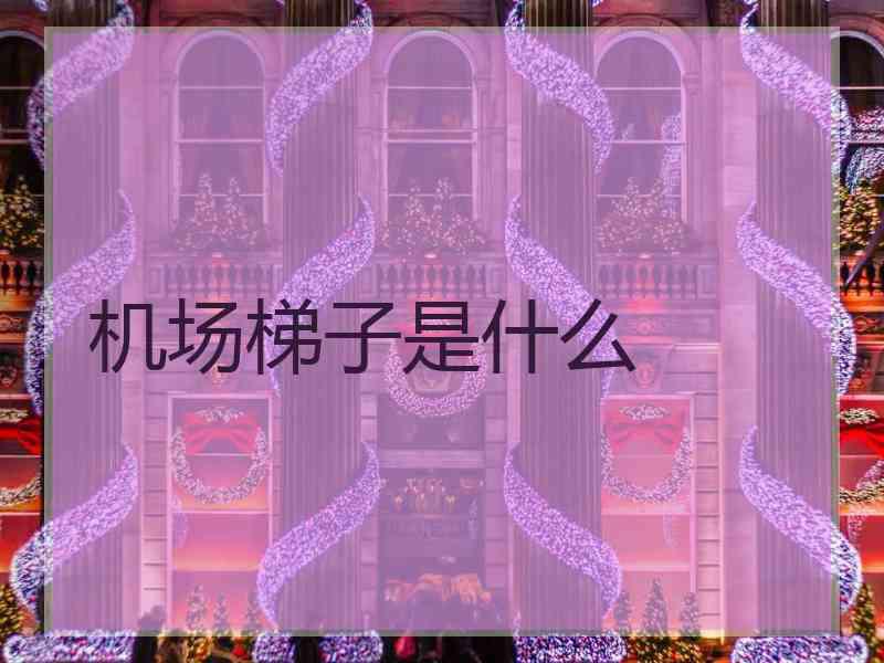 机场梯子是什么