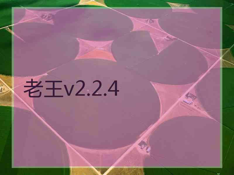 老王v2.2.4