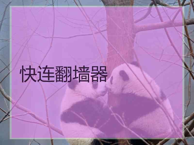 快连翻墙器