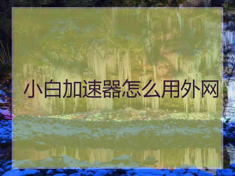 小白加速器怎么用外网