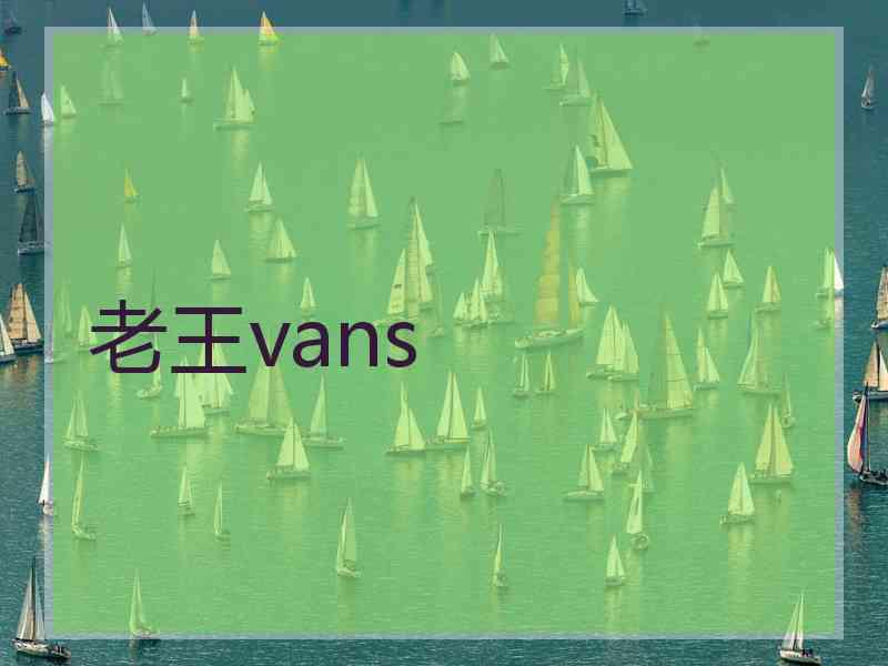 老王vans