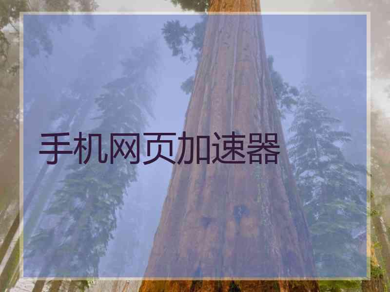手机网页加速器