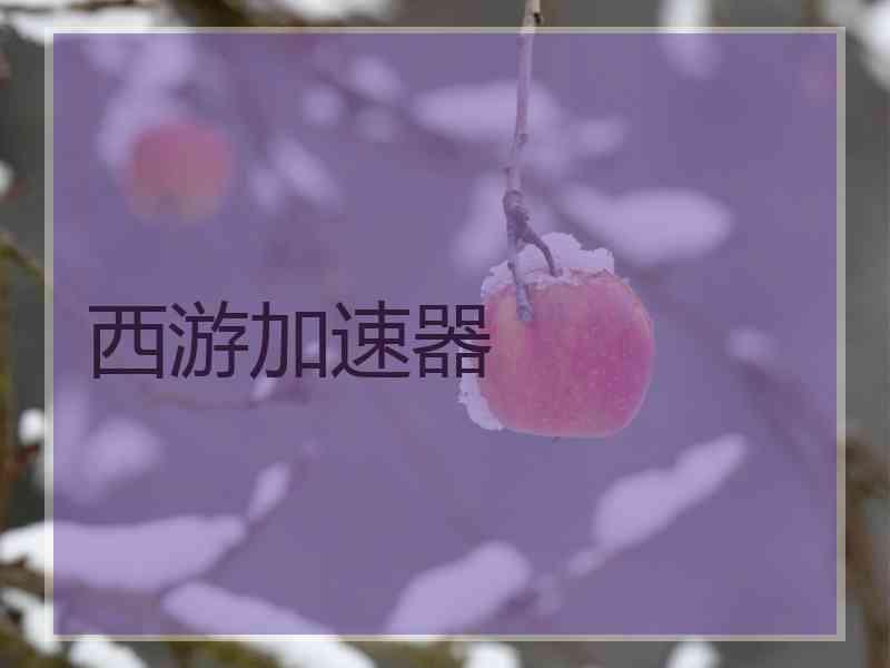 西游加速器