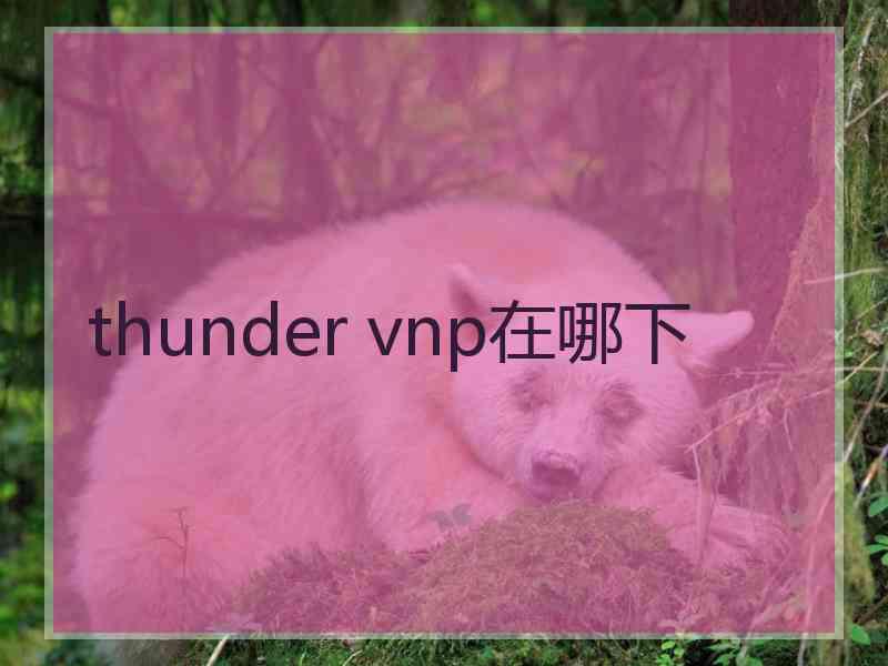 thunder vnp在哪下