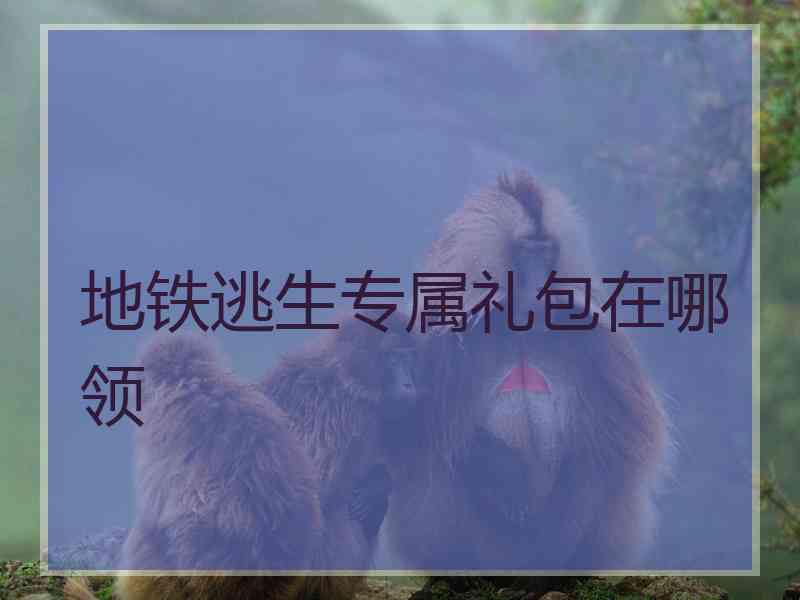 地铁逃生专属礼包在哪领