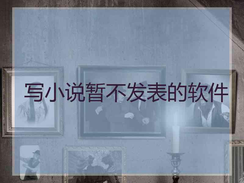 写小说暂不发表的软件