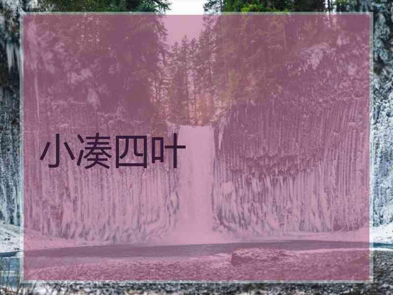 小凑四叶