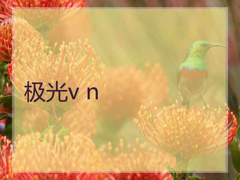 极光v n