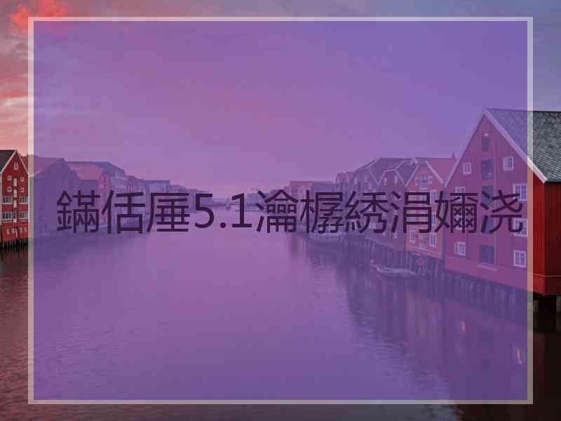 鏋佸厜5.1瀹樼綉涓嬭浇