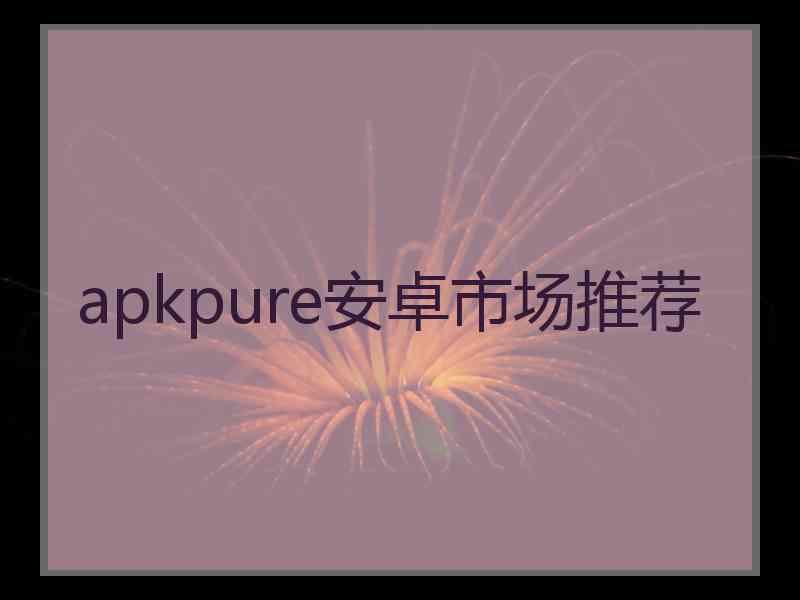 apkpure安卓市场推荐