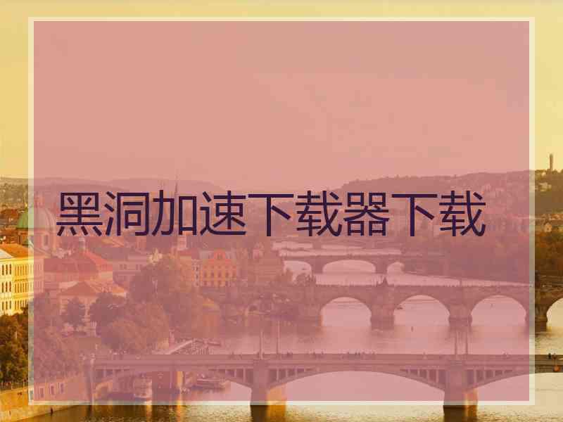 黑洞加速下载器下载