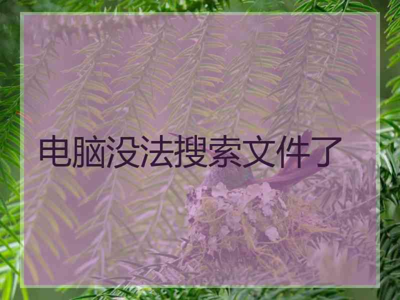 电脑没法搜索文件了