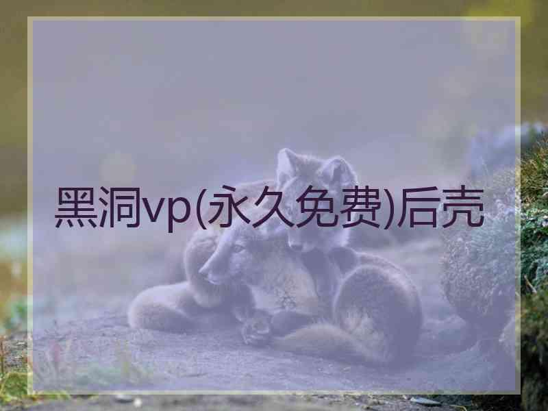 黑洞vp(永久免费)后壳