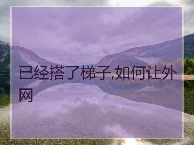已经搭了梯子,如何让外网